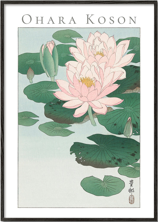 Ohara Koson Water Lily