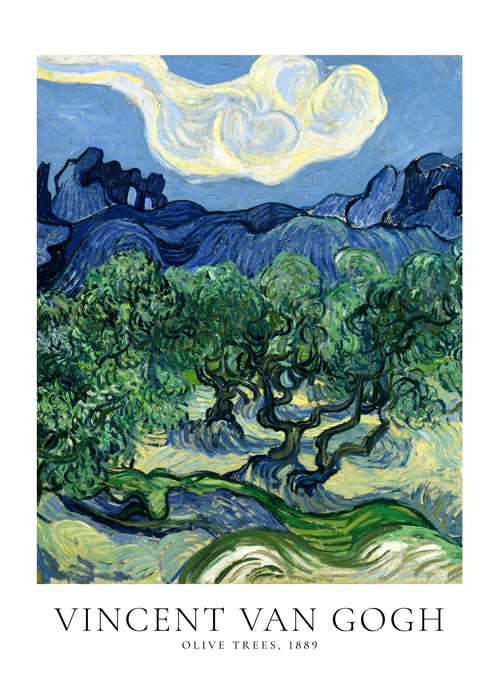 Vincent Van Gogh Olive trees - Unframed art print