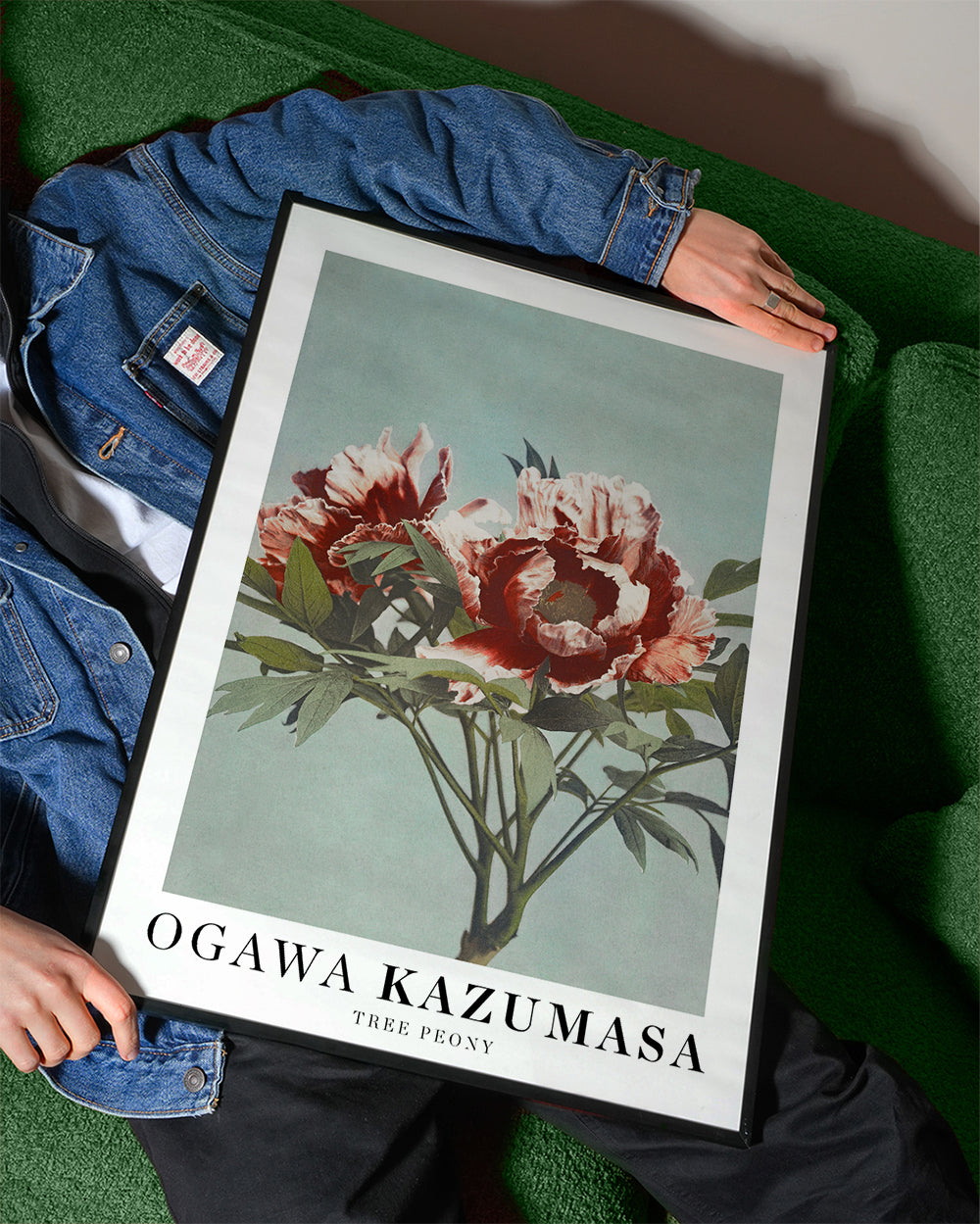 Ogawa Kazumasa Tree Peony