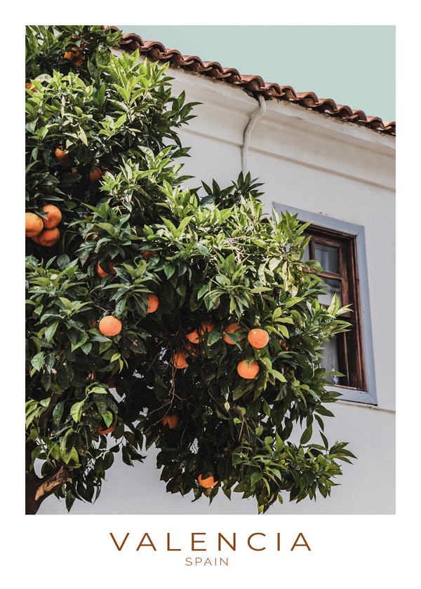 Spain Collection Valencia