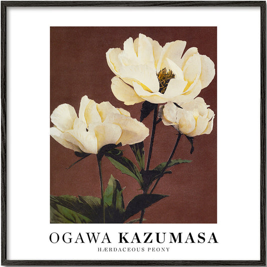 Ogawa Kazumasa peony II