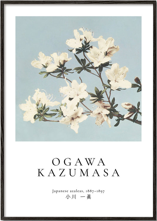 Japanese azaleas by Ogawa Kazumasa