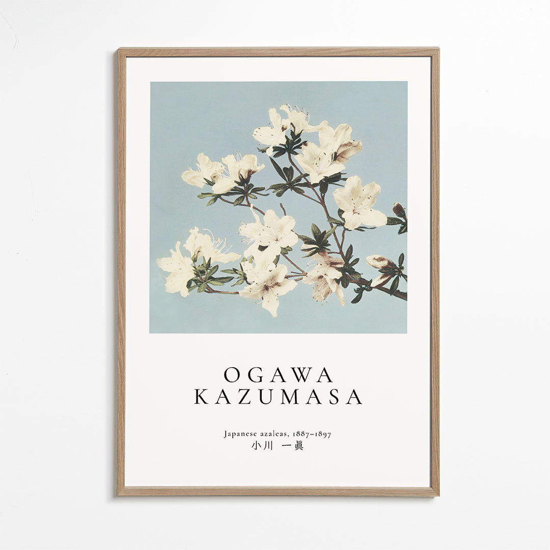 Japanese azaleas by Ogawa Kazumasa