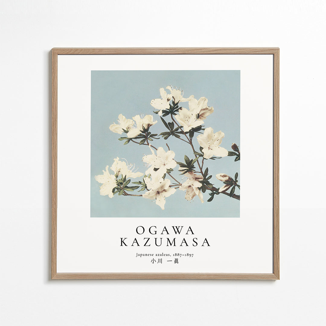 Japanese azaleas by Ogawa Kazumasa - Square