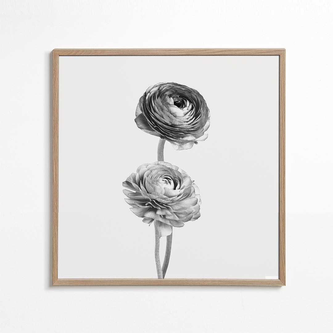 Flowers black and white photograph - Square