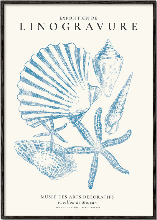 Exposition de linogravure, Sealife (la vie marine)