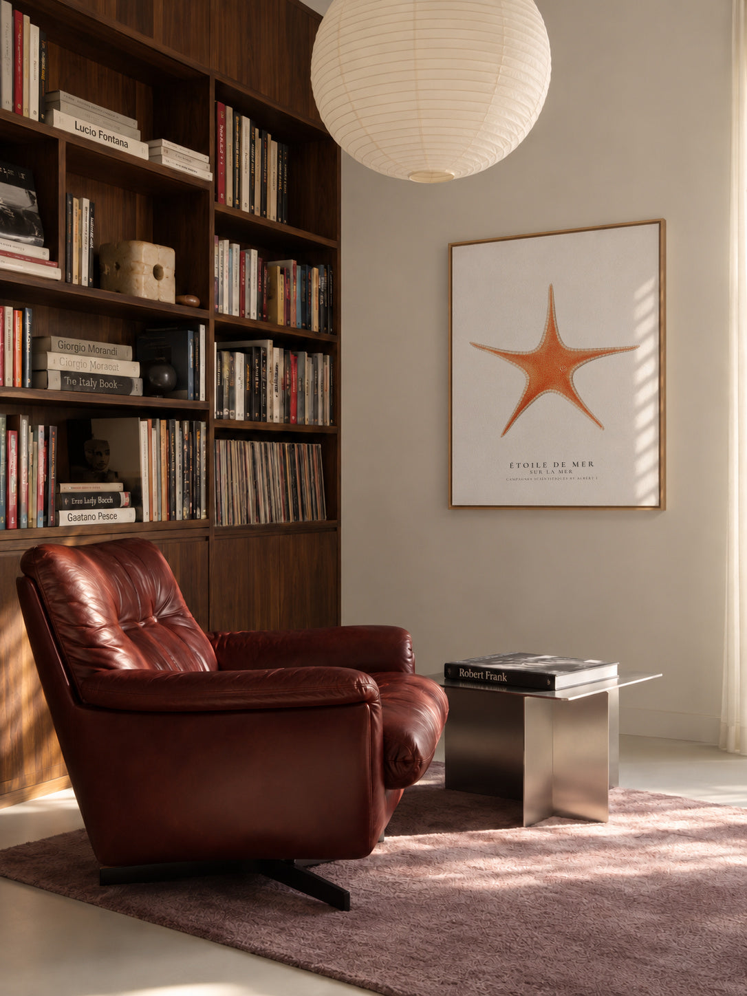 Starfish (Étoile de mer) I - Sealife Collection - Framed canvas in an interior