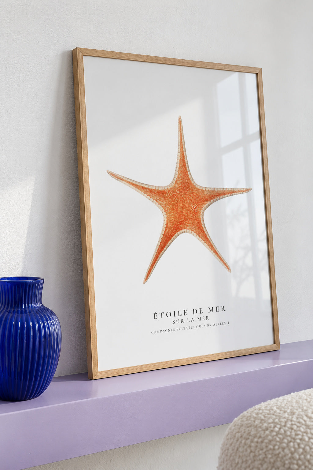 Starfish (Étoile de mer) I - Sealife Collection - Framed poster detail