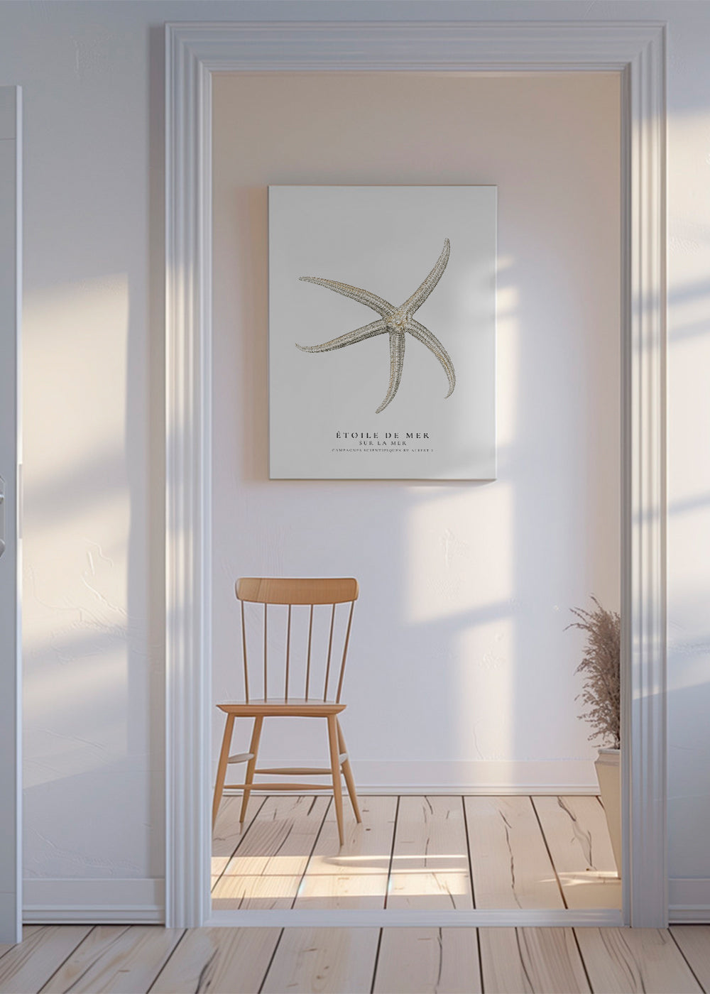 Starfish (Étoile de mer) II - Sealife Collection