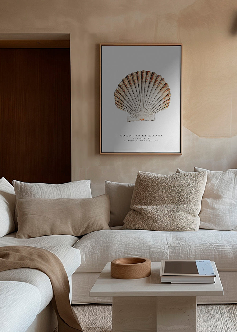 Seashell (coquille de coque) - Sealife Collection