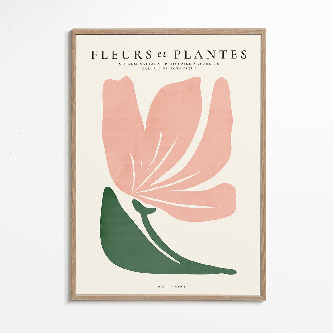 Botanical, Fleurs et plantes - Poster No. 3