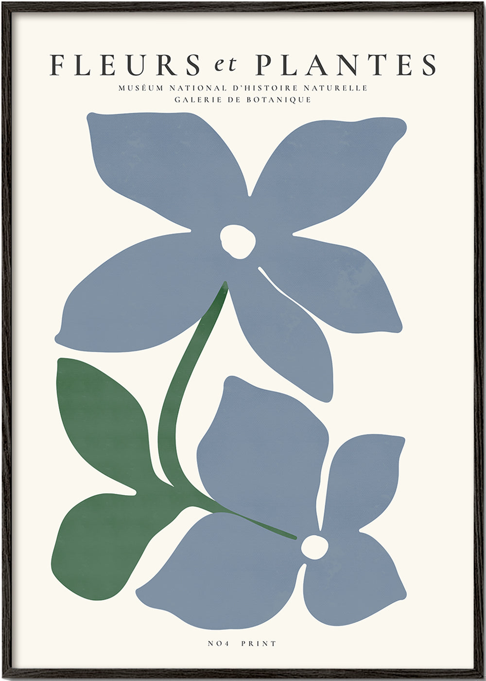 Botanical, Fleurs et plantes - Poster No. 4