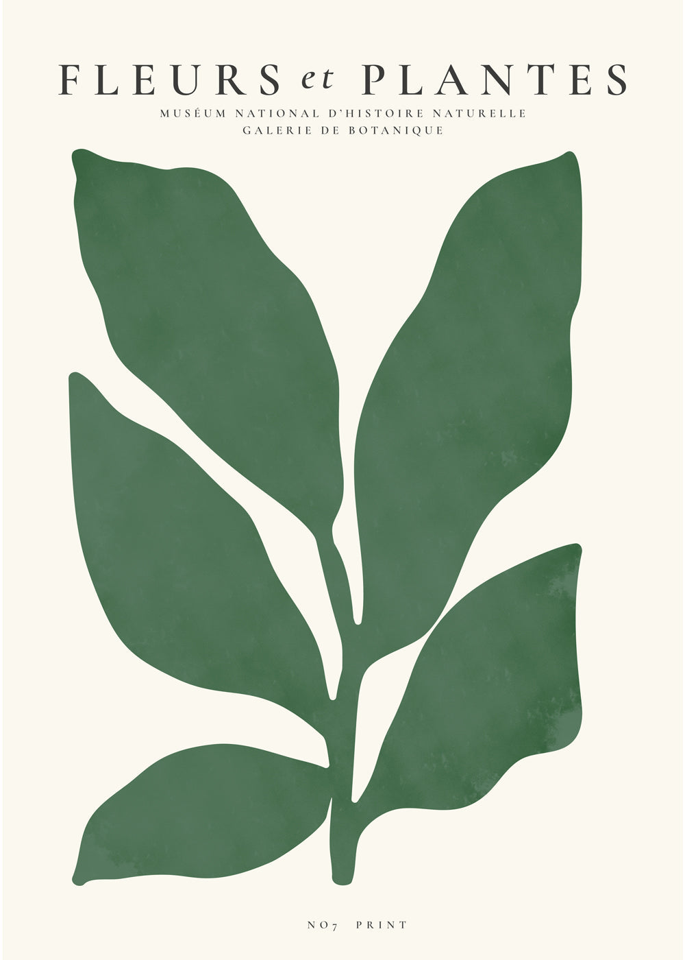 Botanical, Fleurs et plantes - Poster No. 7