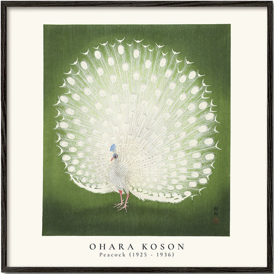 Ohara Koson, Peacock - SQUARE