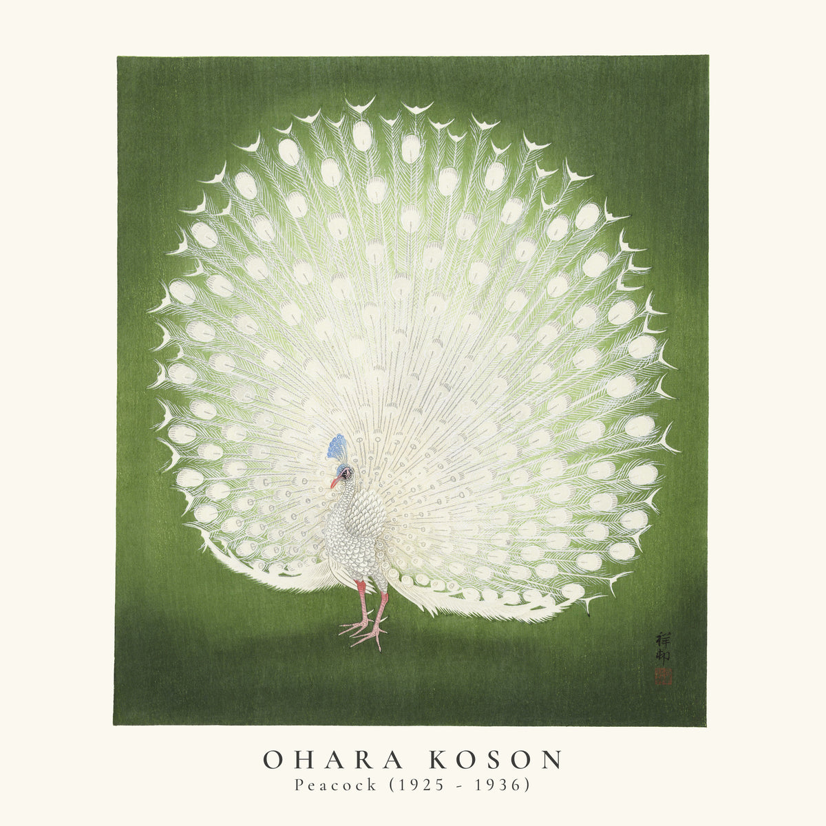 Ohara Koson, Peacock - SQUARE - Unframed art print