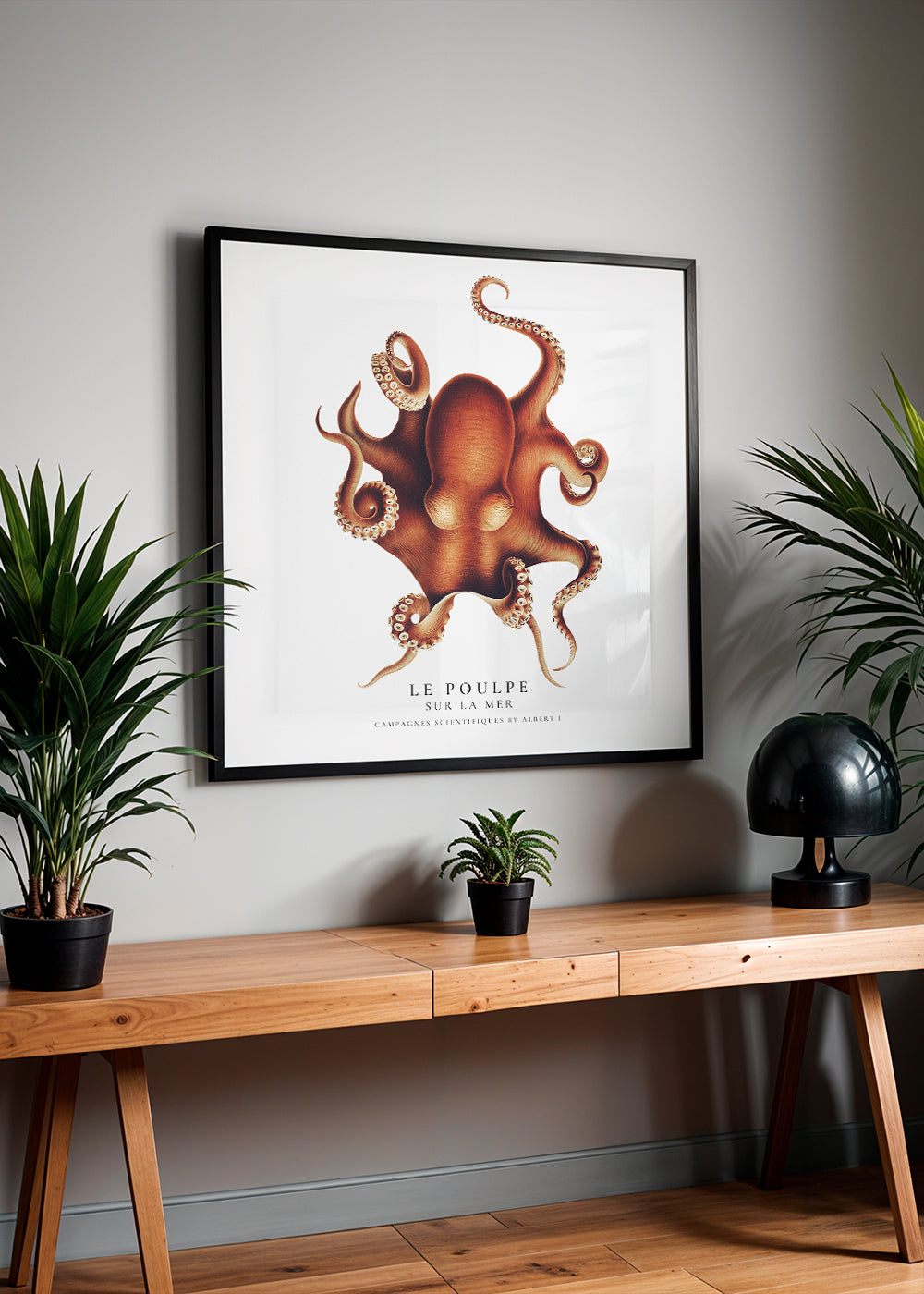 The Octopus (Le Poulpe) - Sealife Collection - SQUARE