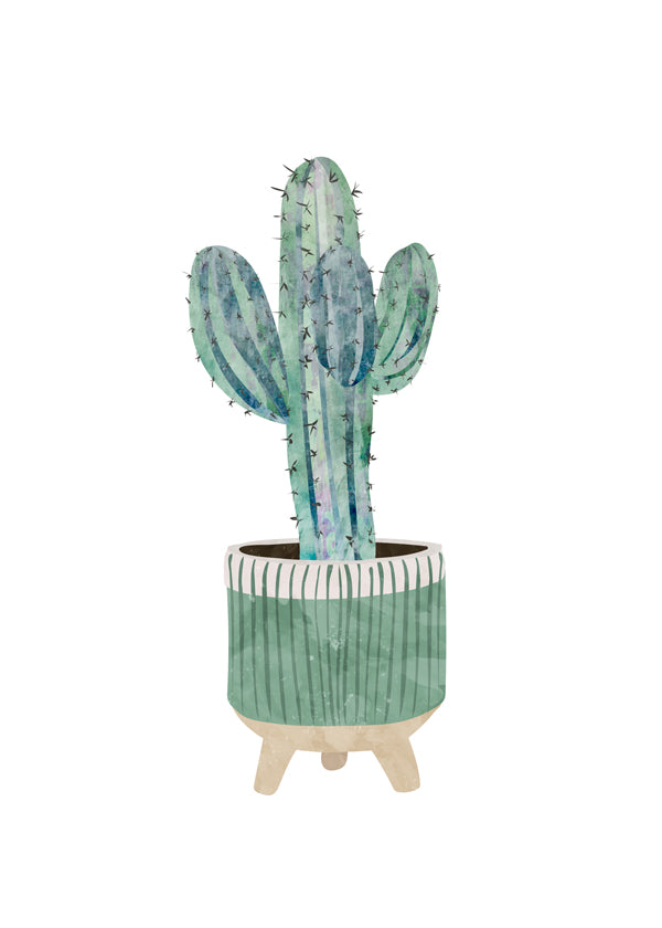 Scandi Japandi Cactus 1