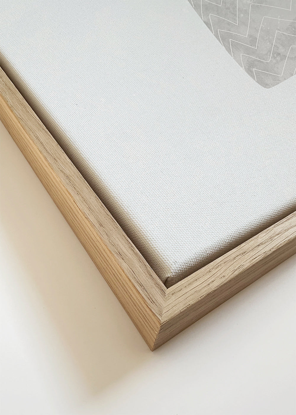 Scandi Japandi Houseplant 3