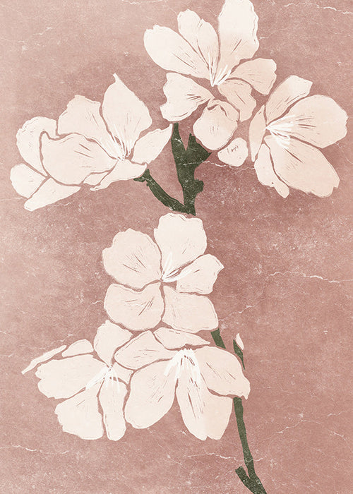 Lámina botánica con flores rosas y textura vintage