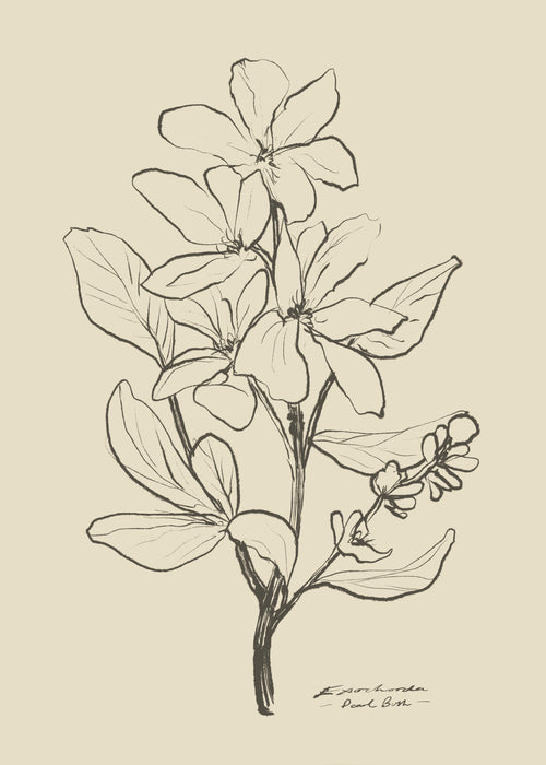 Floral 1 - Unframed art print