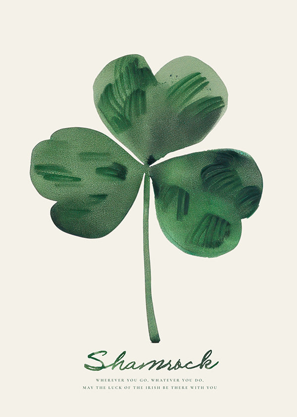 Botanischer Druck Shamrock Kleeblatt Aquarell