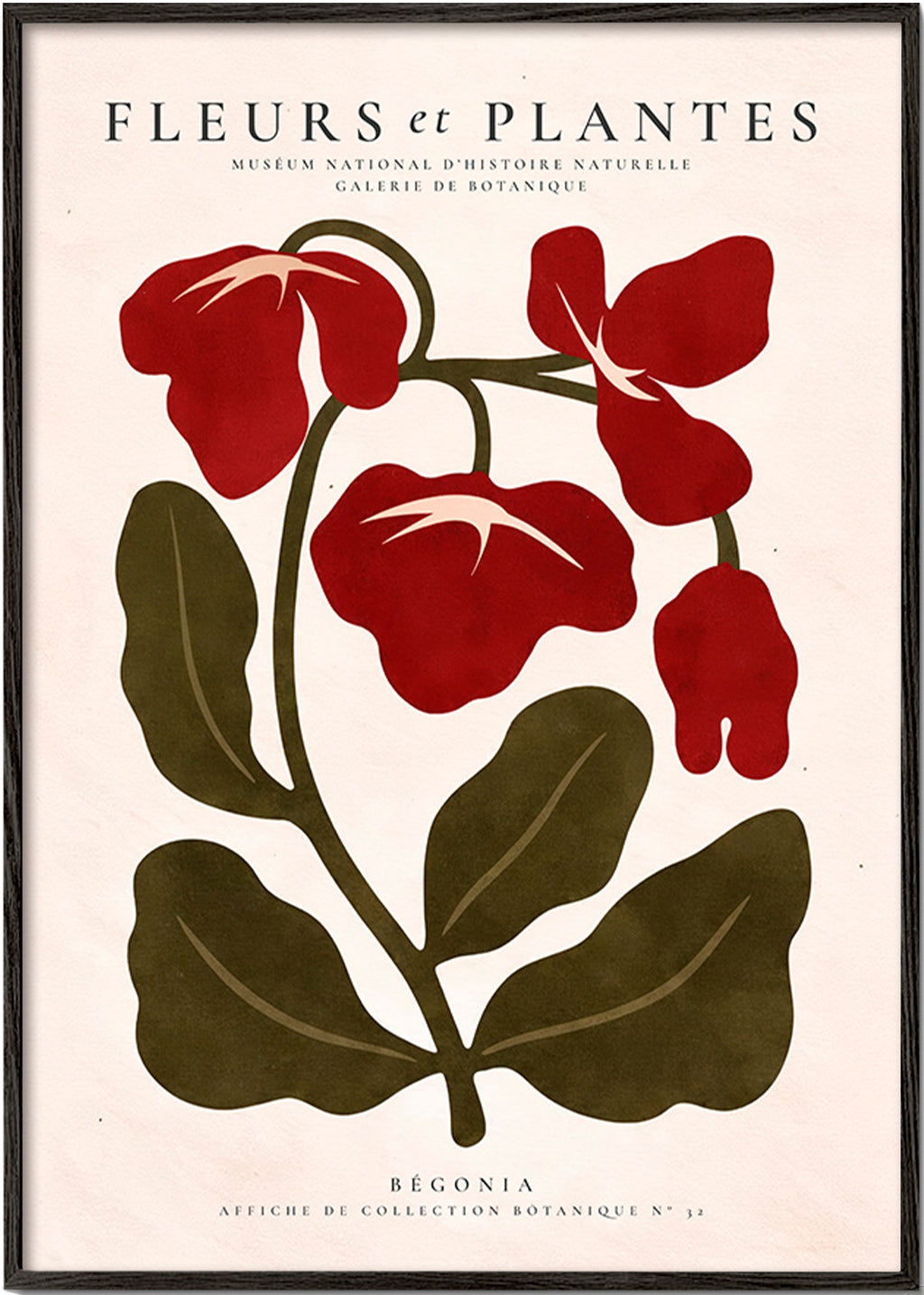 Botanischer Druck: Rote Begonie Grafik