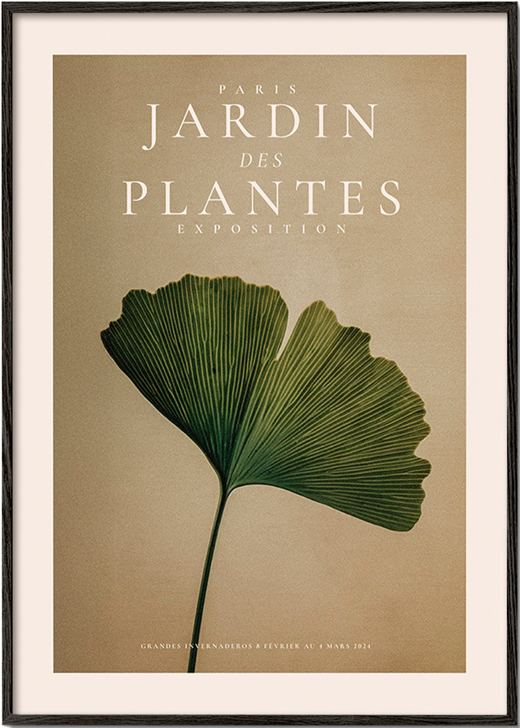 Botanischer Druck mit Ginkgo-Blatt und klassischer Typografie