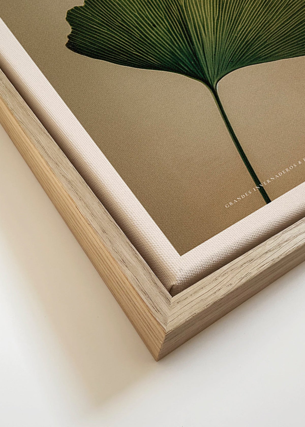 Botanischer Druck mit Ginkgo-Blatt und klassischer Typografie