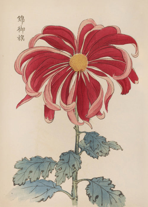 Nishiki No Mihata by Keika Hasegawa - Unframed art print