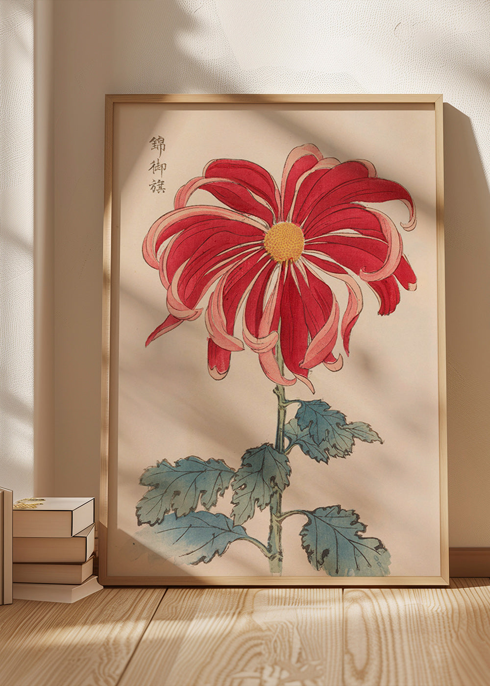 Botanischer Druck Japanische Chrysantheme Rot