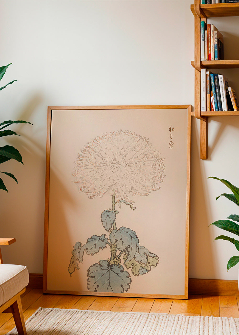 Botanischer Druck: Japanische Chrysantheme Detail