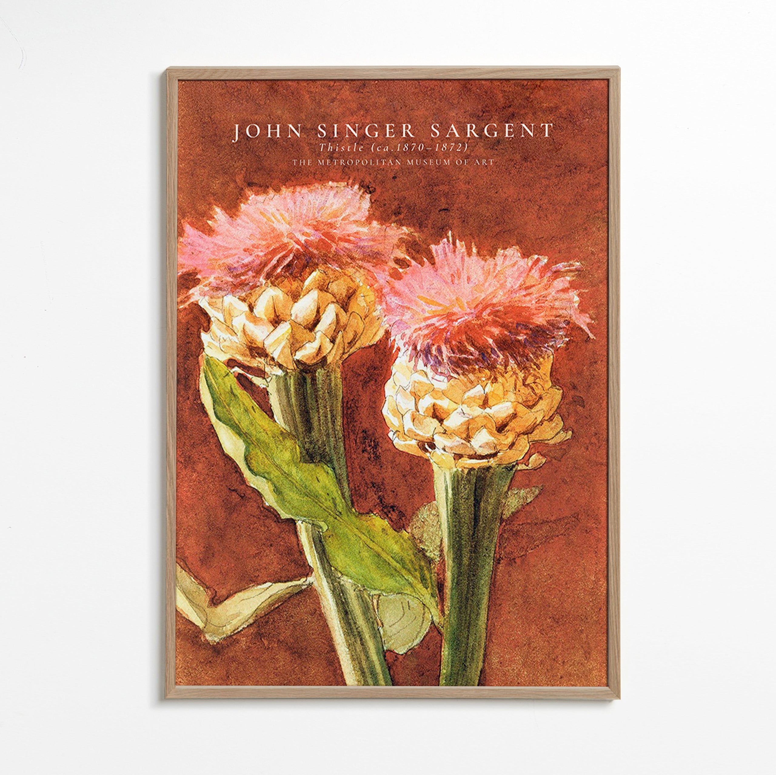Botanischer Druck: rosa Disteln