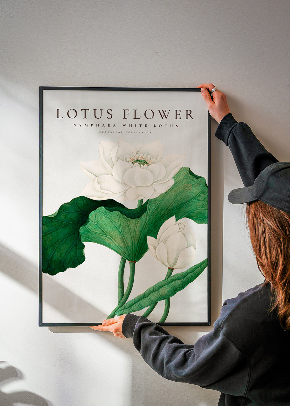 Botanischer Druck Weißer Lotus Studie