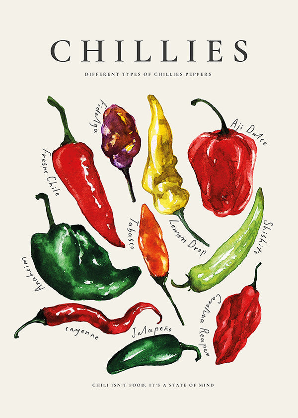 Küchenkunst Chillies Aquarell