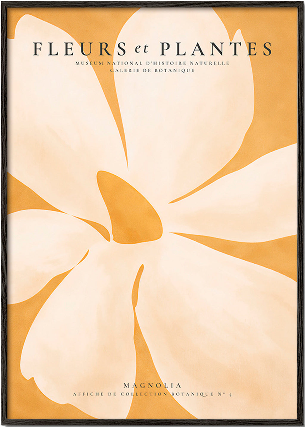 Botanischer Druck Magnolia Großformat