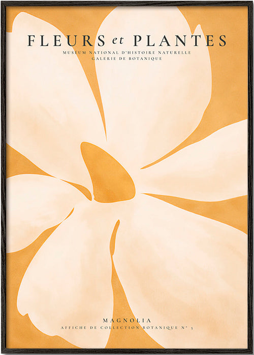 Botanischer Druck Magnolia Großformat