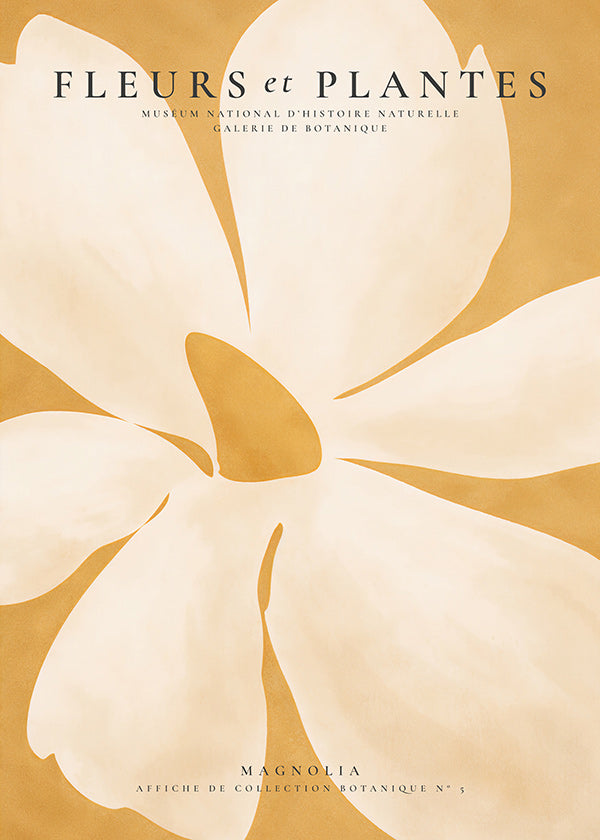 Botanischer Druck Magnolia Großformat