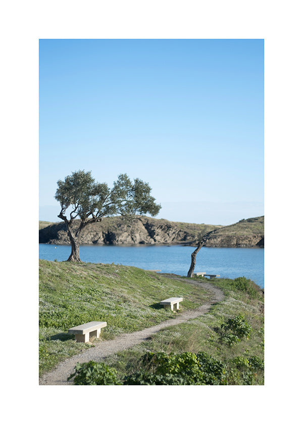 Cuadro de paisaje Küstenpfad ruhig