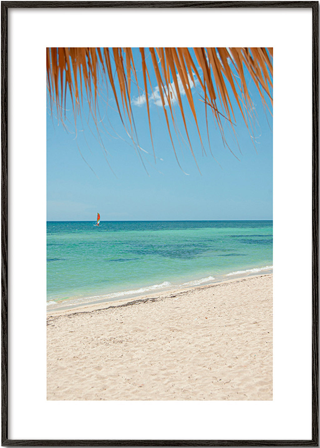 Landschaftsbild: karibischer Strand mit Palme