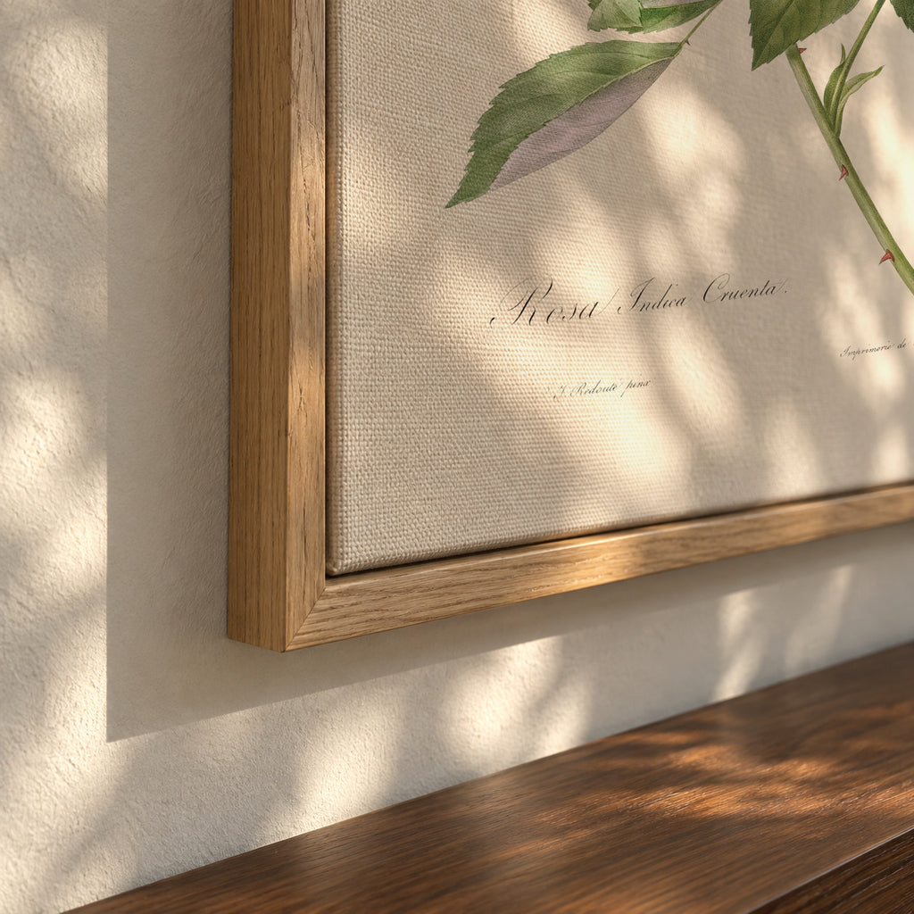 Blood Red Bengal Rose - Framed canvas detail