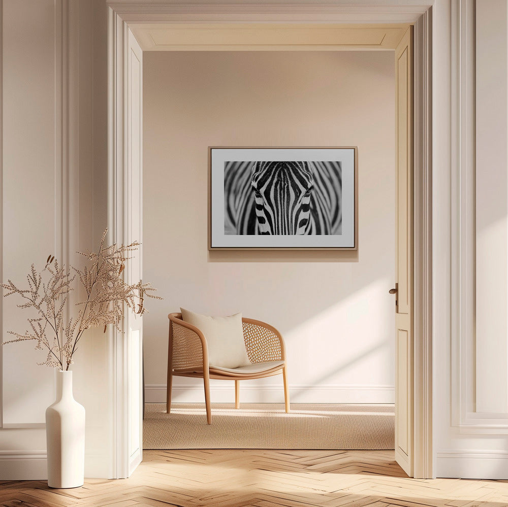 Cuadro cebra en primer plano – Canvas1