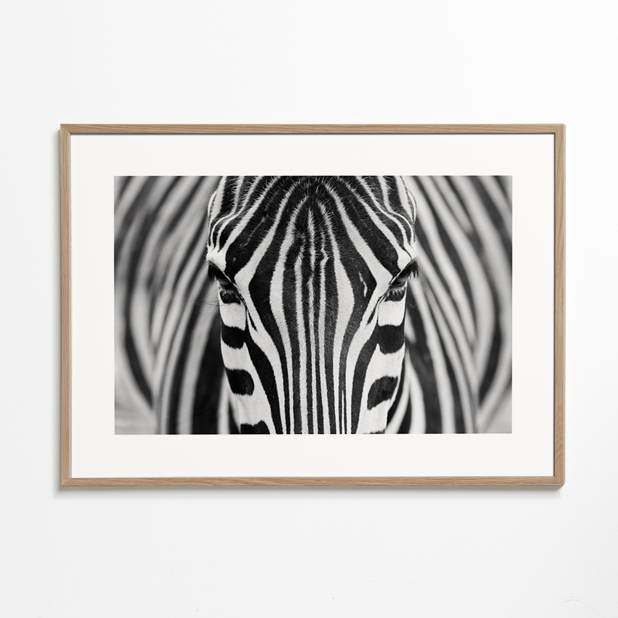 Cuadro cebra en primer plano – Oak Frame