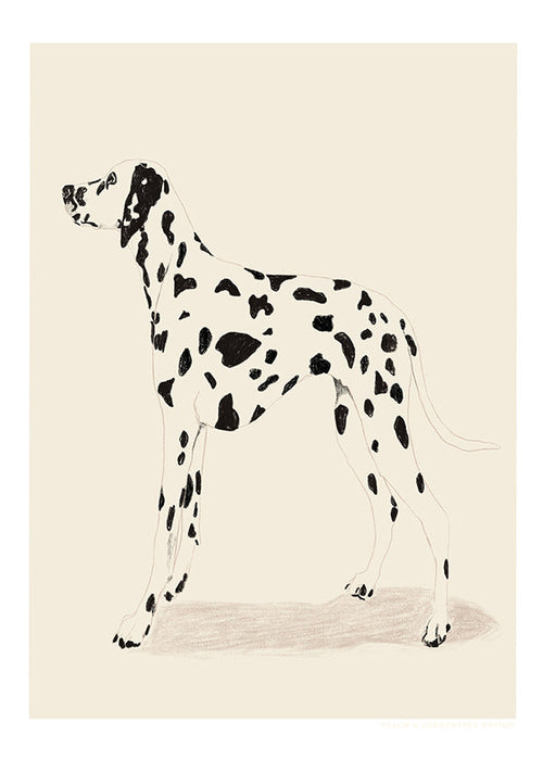 Cuadro dálmata ilustración minimal