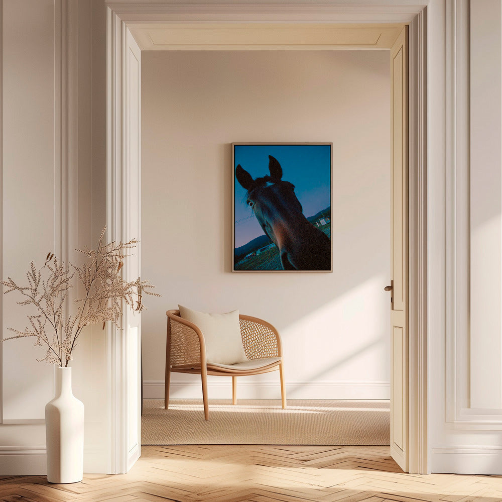 Kunstwerk Pferd Nahaufnahme bei Nacht