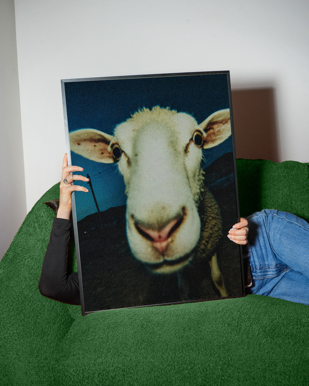 Curious Sheep - Framed poster detail
