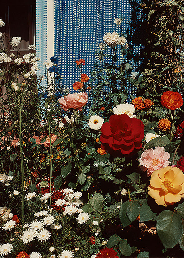 Botanischer Druck: blühender Garten