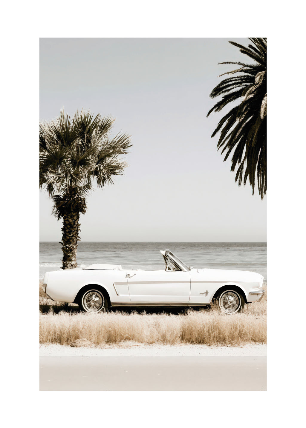 Palm Motel - Unframed art print