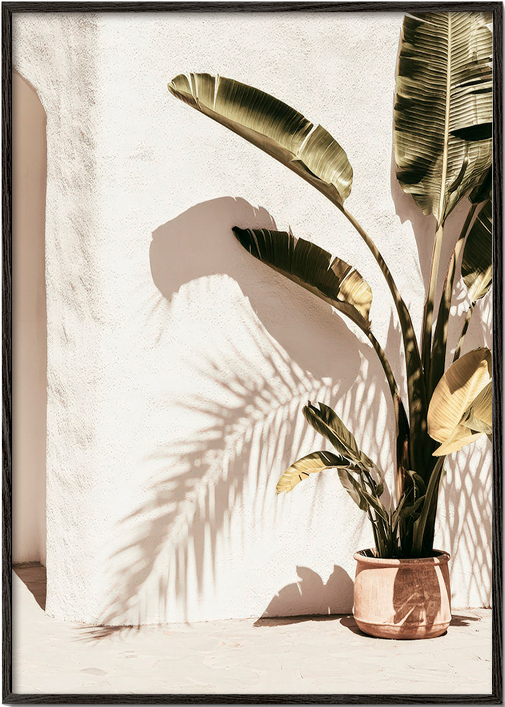 Botanischer Druck: Topfpalme