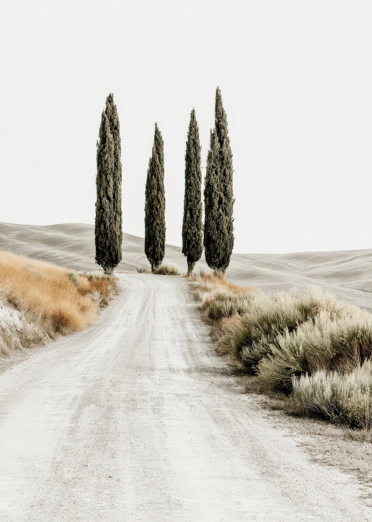 Cypress Road - Unframed art print