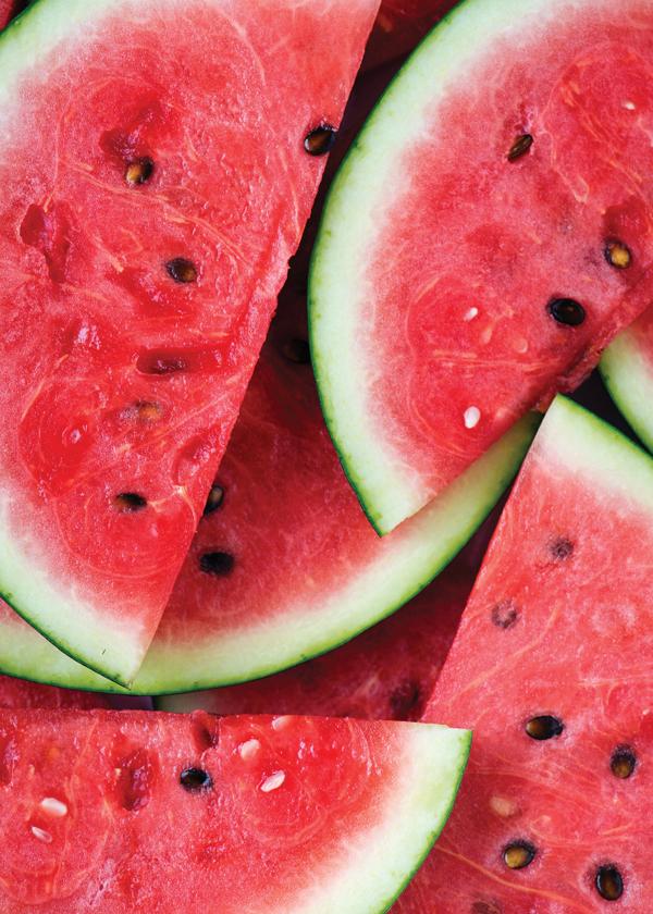 Watermelon lovers